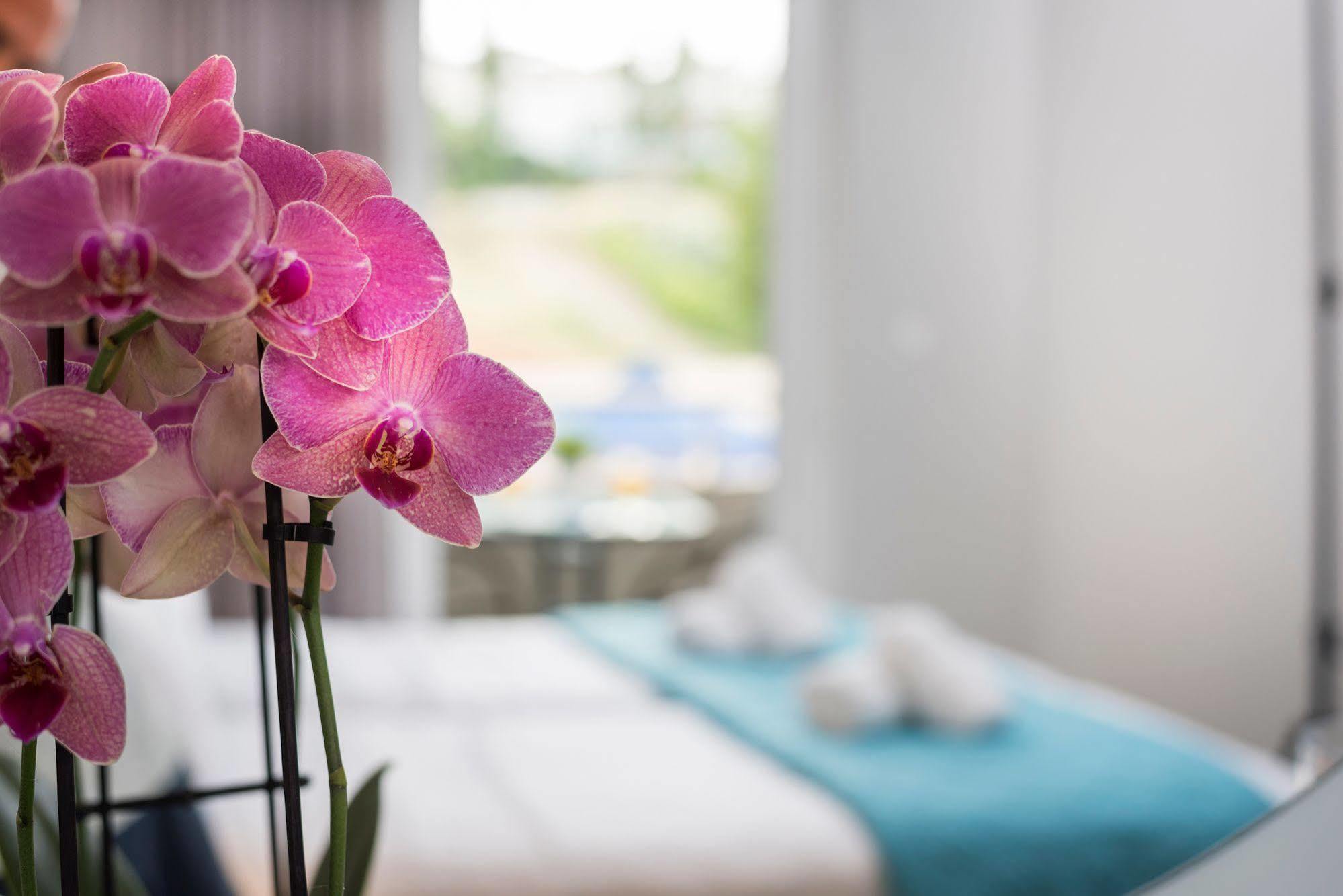 Irini Stalos Apartments エクステリア 写真